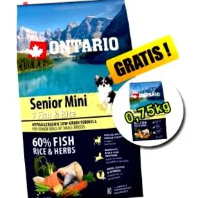 orez senior