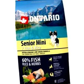 ontario mini