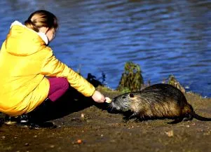 coypu centrul
