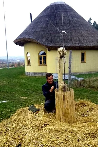 няколко първите