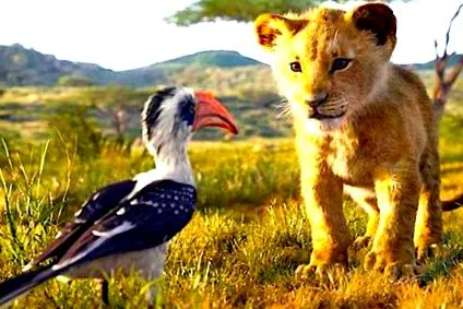 lion