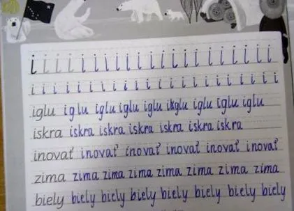 înotătorul arate