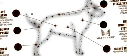 retriever