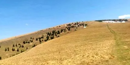 fatra