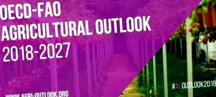 potrivit outlook