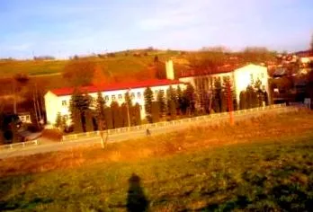 elementară