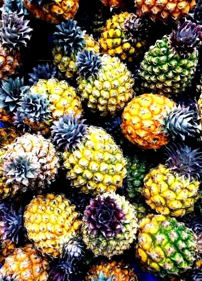 exotic ananas