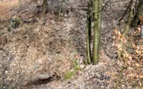 rimavská sobota