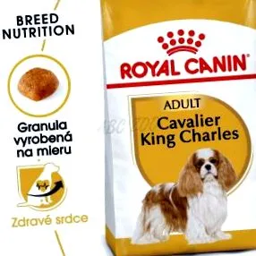 cavalier