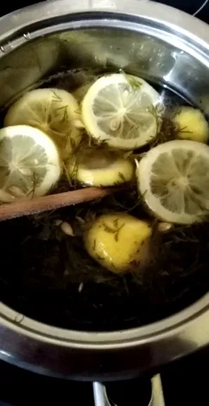 sirop artemisia