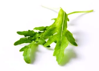 vindecătoare Vitamina Vitamina