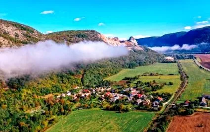slaná