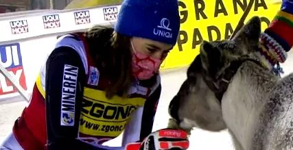 slalom vlhová