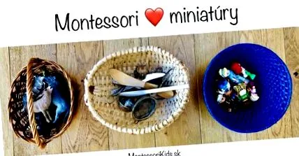 miniatură
