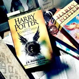 acolo potter