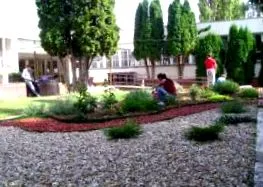 școala
