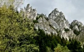 vizitator trasee