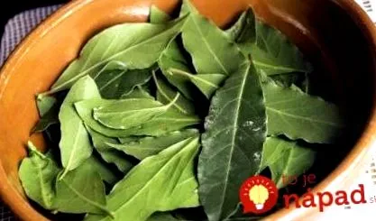bunicilor vechiul