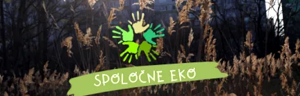 domeniul dezvoltării durabile