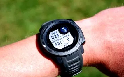 instinct garmin