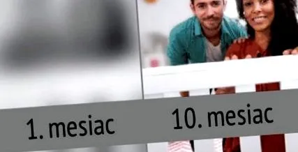 articol arăta