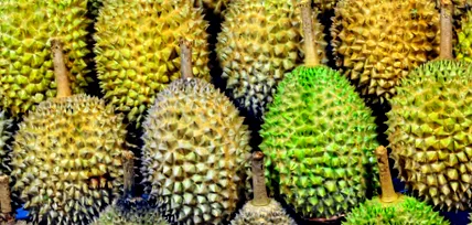 thai feltétlenül