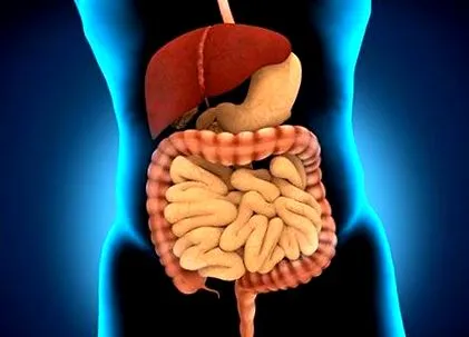 fibre solubile
