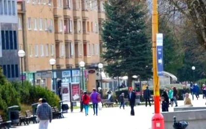 tudja