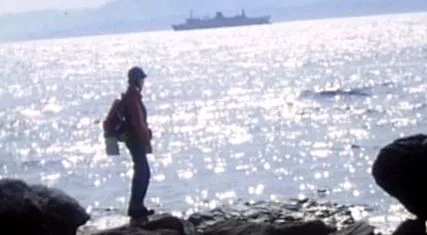 1980