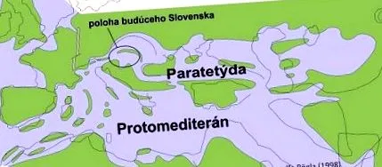 oamenii