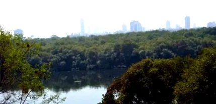 mahim sare