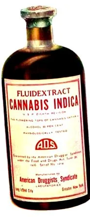 marijuanei