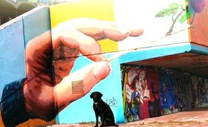 creativitate