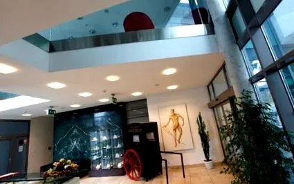 wellness aparțin