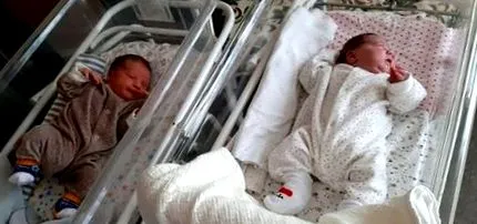 роди