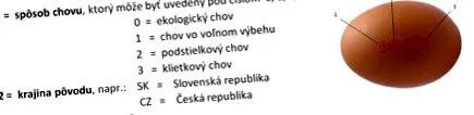ouăle știri