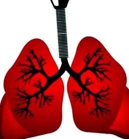 pulmonară pulmonară