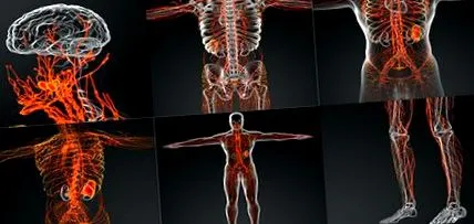 moduri detoxifiere