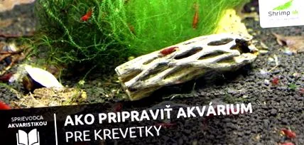 pentru este bine