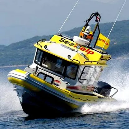 asistență