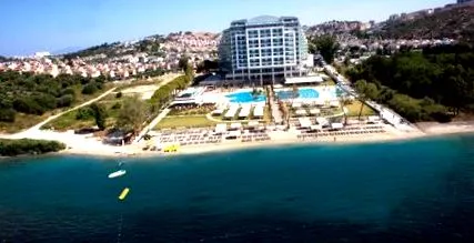 turkey