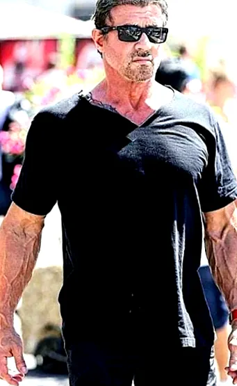 miatt stallone