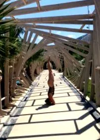 ashtanga