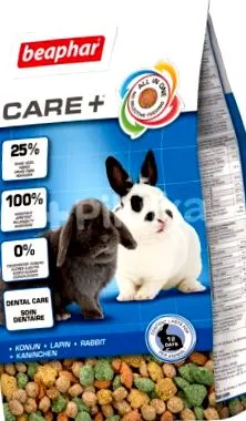 rabbit