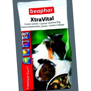 cobai xtra