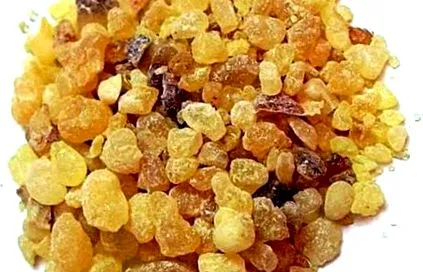 bolilor