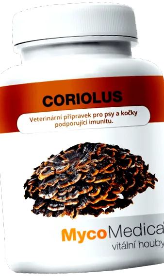 înaltă calitate coriolus