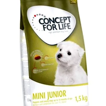 junior