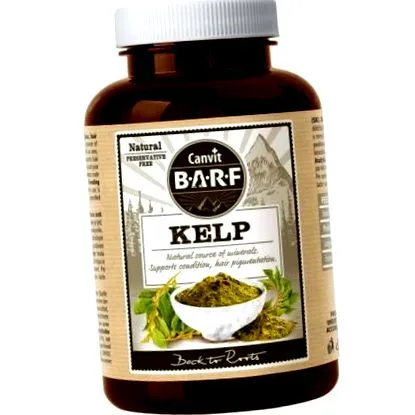 kelp kelp