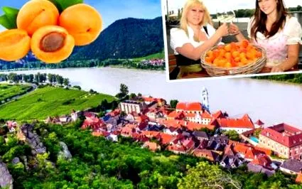 agenția frumoasa